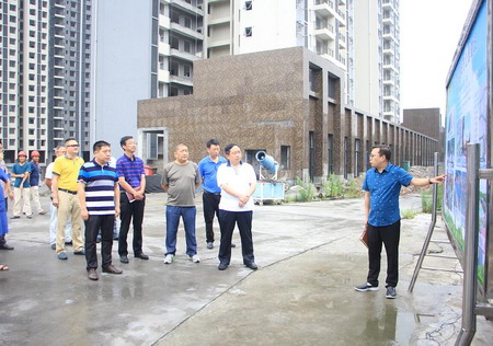 区人大常委会开展老城提升专题视察