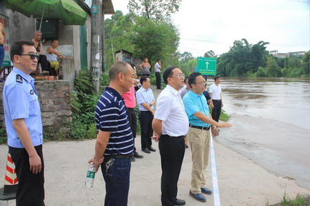 成定彬到金山镇督导防汛工作